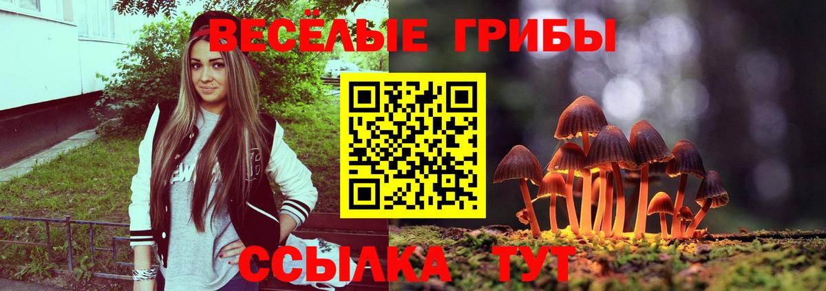 Галлюциногенные грибы Cubensis Кудымкар