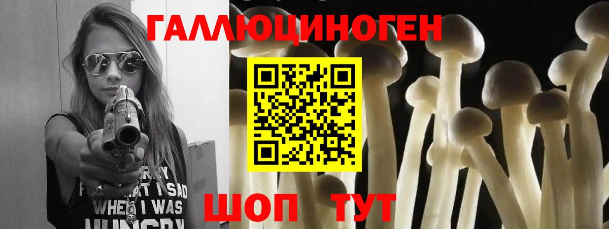 Галлюциногенные грибы Magic Shrooms  Галлюциногенные грибы Psilocybe  Вход с VPN  Кудымкар 